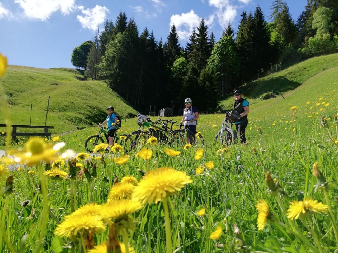 Pension Edelweiss Breitenbach am Inn Dış mekan fotoğraf