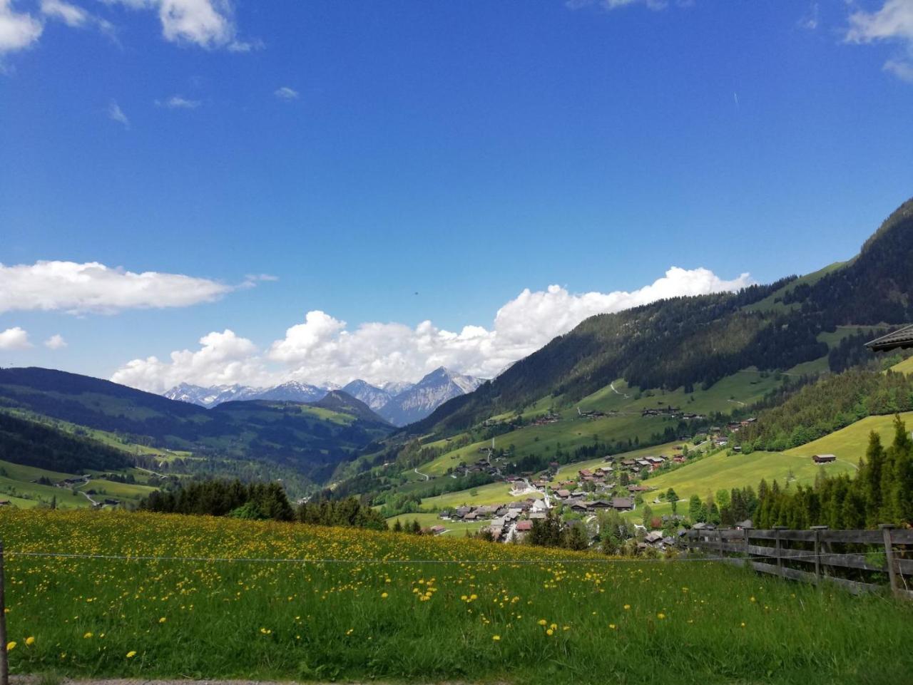 Pension Edelweiss Breitenbach am Inn Dış mekan fotoğraf