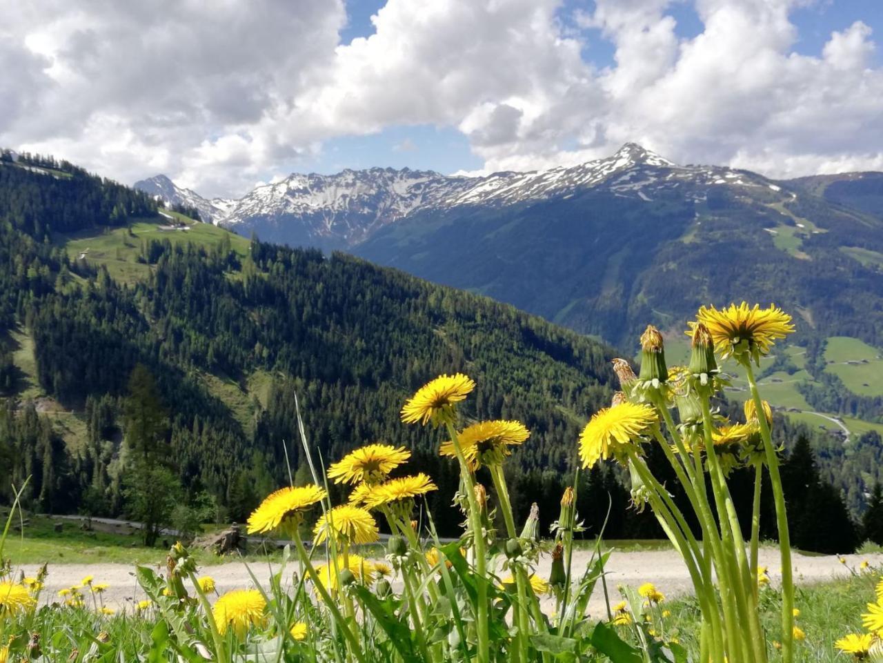 Pension Edelweiss Breitenbach am Inn Dış mekan fotoğraf